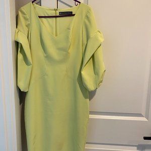 Alton Gray sheath  Dress ( light green)